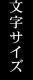 文字サイズ